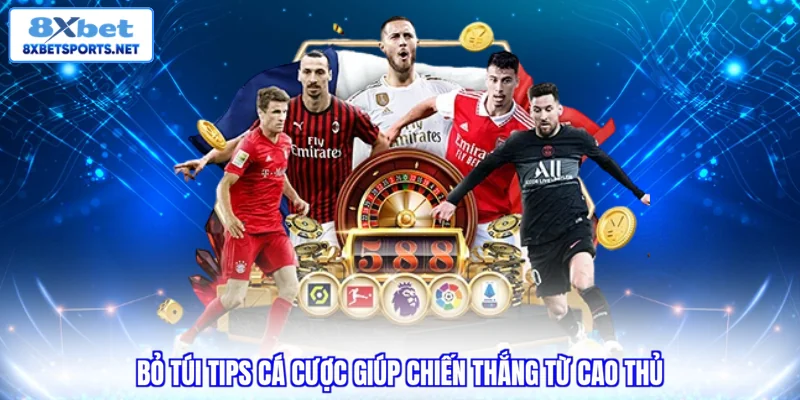 Bỏ túi tips cá cược giúp chiến thắng từ cao thủ